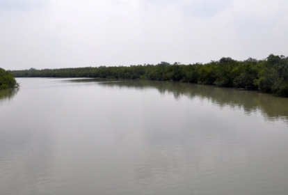Wakid Sundarban mangroove forest Photo by Abdul Wakid