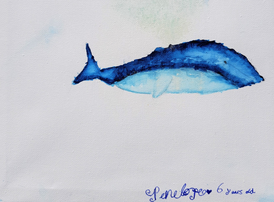 blue whale penelope tandy aged 6 2