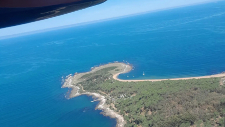 Franciscana aerial surveys underway in Uruguay
