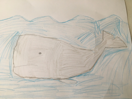 sperm whale by ivan smith