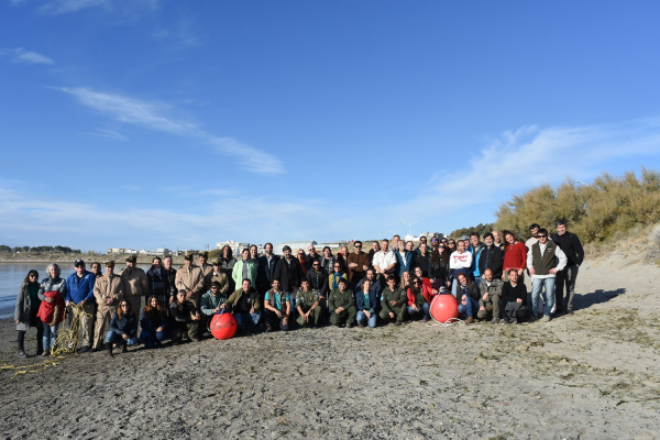 Attendance to the disentanglement workshop Puerto Madryn Patagonia Argentina