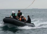 whale disentanglement training