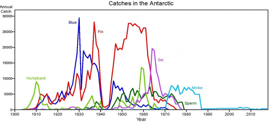 Antarctic catches 1900 2020 2